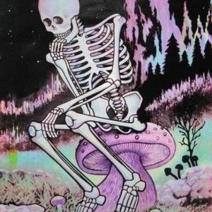 Meet your Posher, Nosi